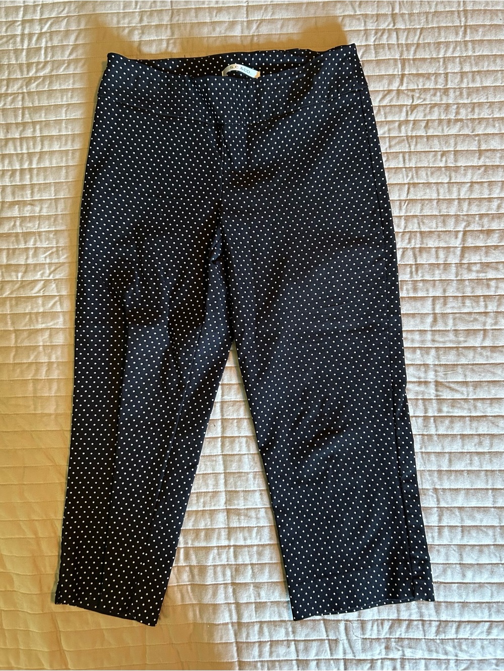 S.C. & Co. Black Polka Dot Cropped Pants